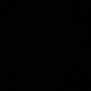 Meet your Posher, Jazzie